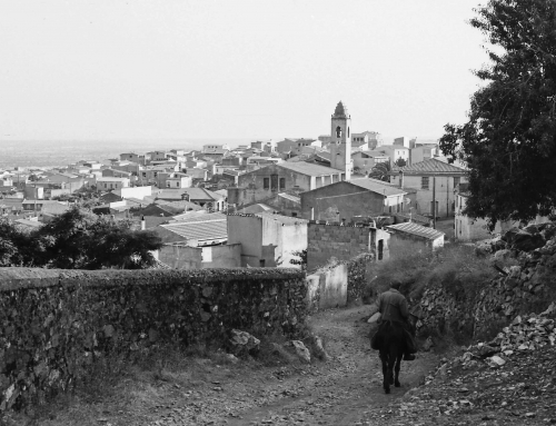 Ipotesi di modello organizzativo per i piccoli paesi del Centro Sardegna